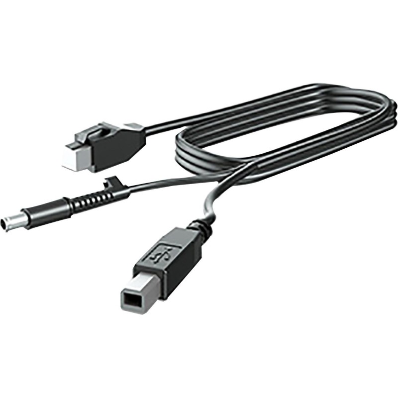 HP 300CM DP+USB PWR CABLE